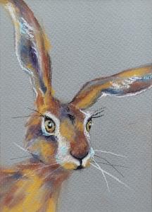 Hare